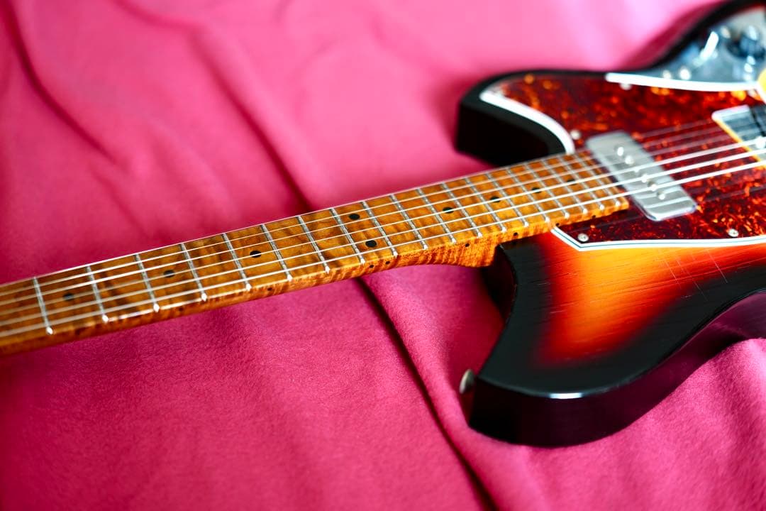 NOVO Serus T / 公式Insta掲載個体 / 3.13kg/fano