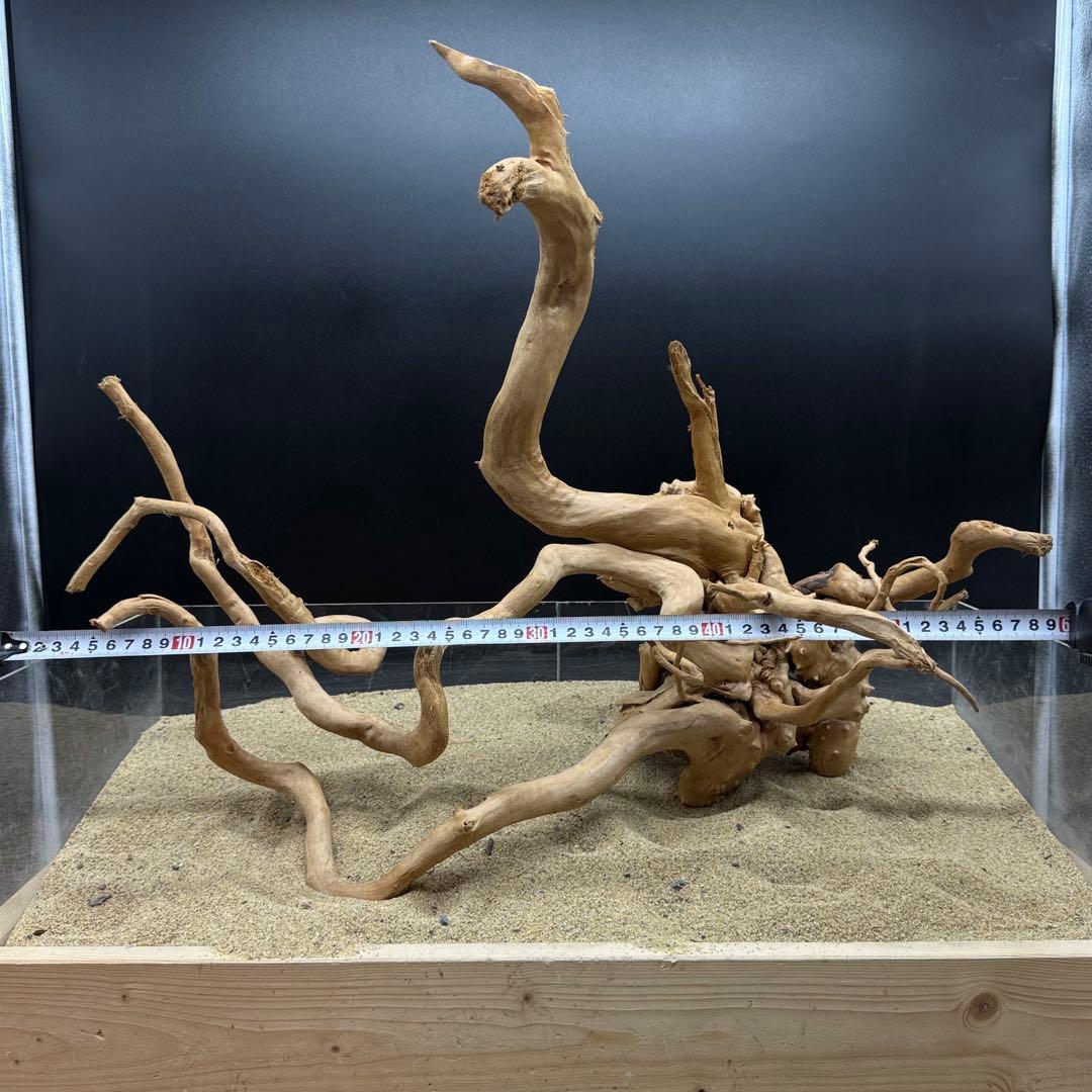 MDW-7000 特大ブランチウッド　流木　枝流木　アクアリウム