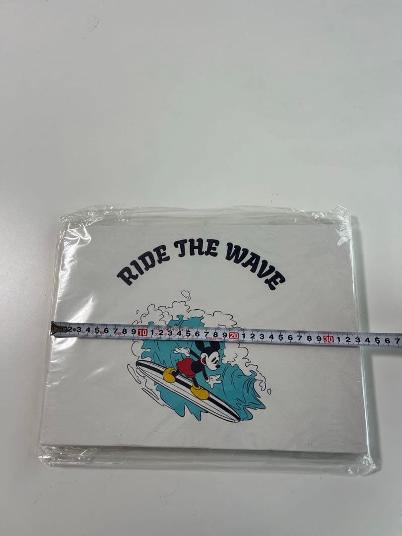 新品 サーフミッキー SURF MICKEY WALL CANVAS ART