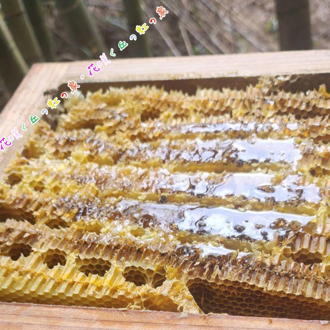 ビニーおまとめページ◇　日本蜜蜂　百花蜜　5.5㎏