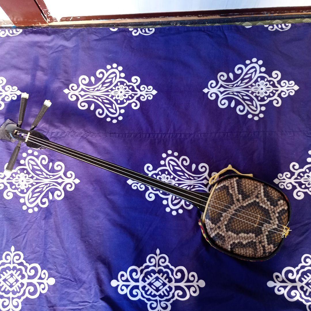 三線本体 伝統的デザイン　人工蛇皮　ハードケース付き