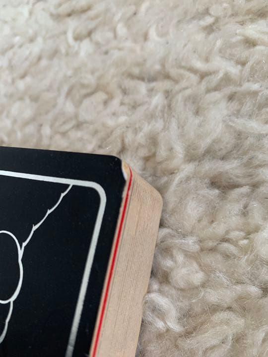 KAWS 初期アートブック　「C10 」