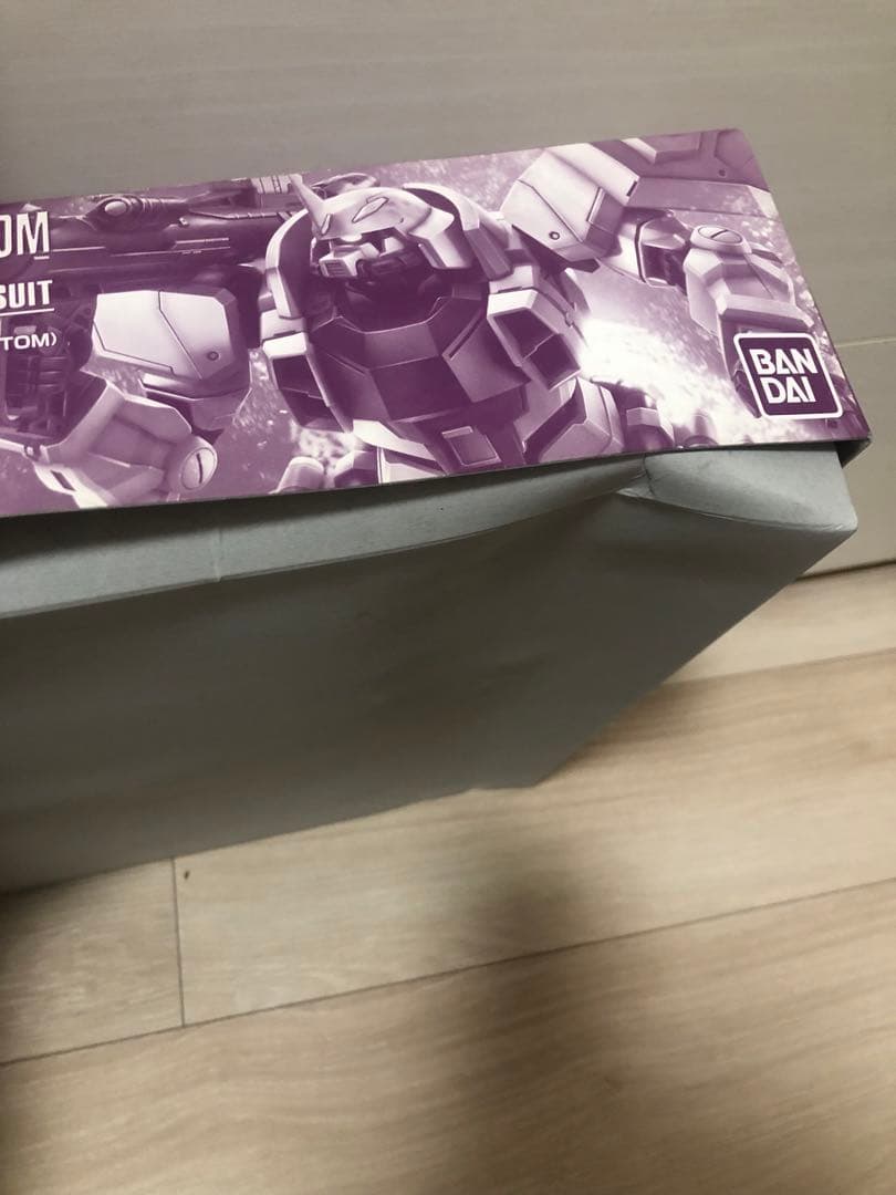 mg ブレイズザクファントム レイ・ザ・バレル専用機 ガンプラ 未組立