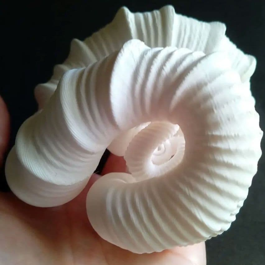 異常巻きアンモナイト　ニッポニテス　３Ｄモデル