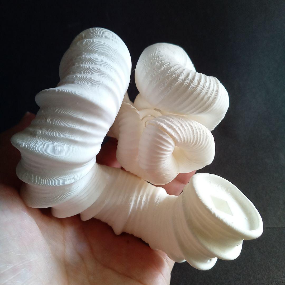 異常巻きアンモナイト　ニッポニテス　３Ｄモデル