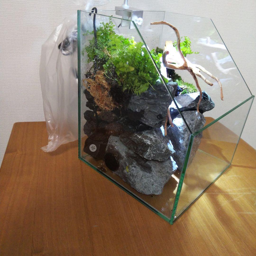 【受注生産】アクアテラリウム