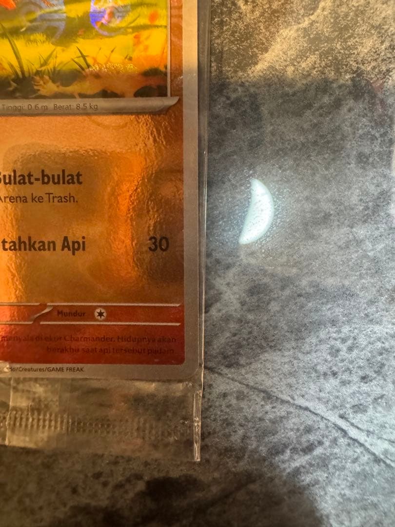 【未開封】ヒトカゲ マスターボールミラー　大会プロモ 海外限定 リザードン