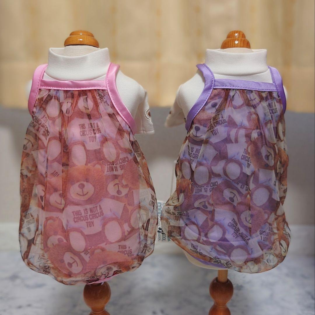 A　Airy Bear キャミ3色セット　サーカスサーカスcircuscircu