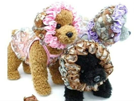 A　Airy Bear キャミ3色セット　サーカスサーカスcircuscircu