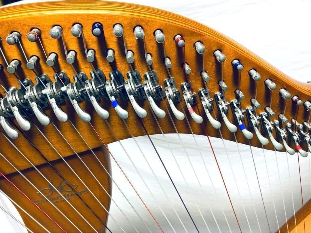 【ATM/コンビニ支払い分割用①】 CAMAC HARPS 38弦 ハープ