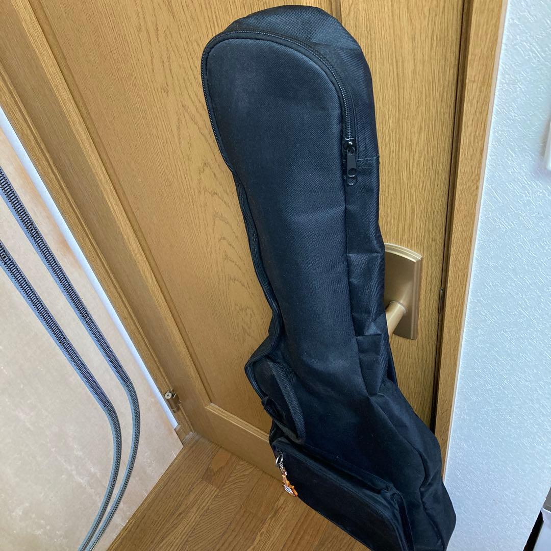 Burny SRLG55ギター