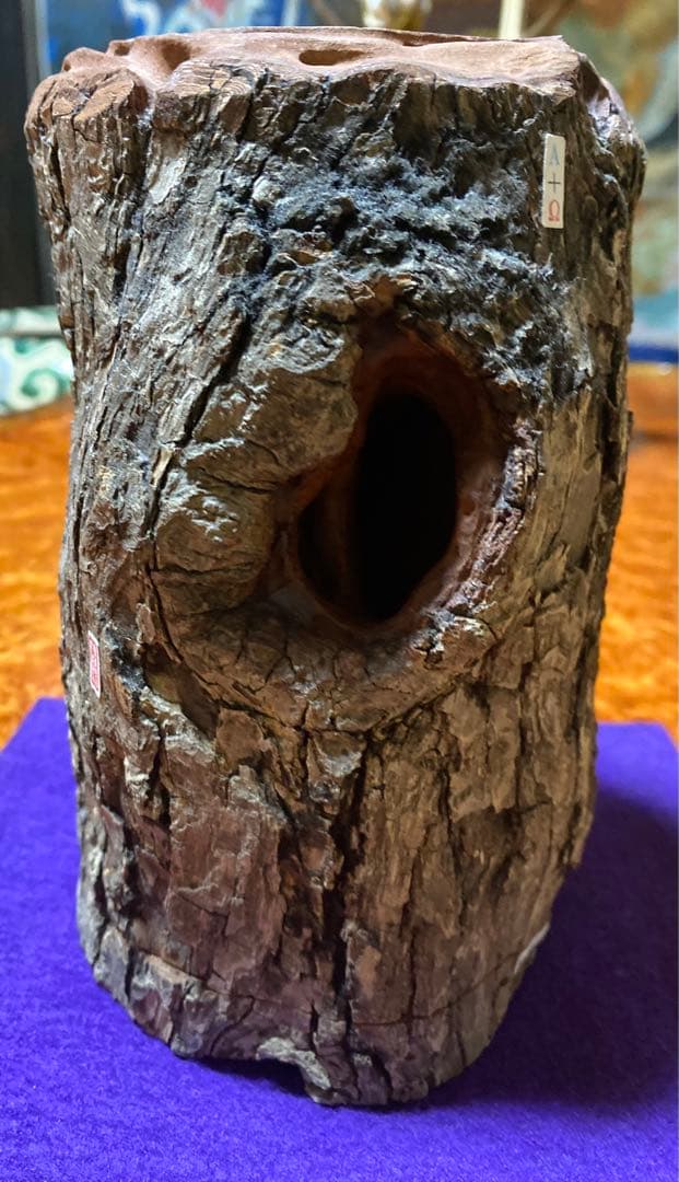 入手困難 新品　三本木森兵衛 A+Ω登り木止まり木