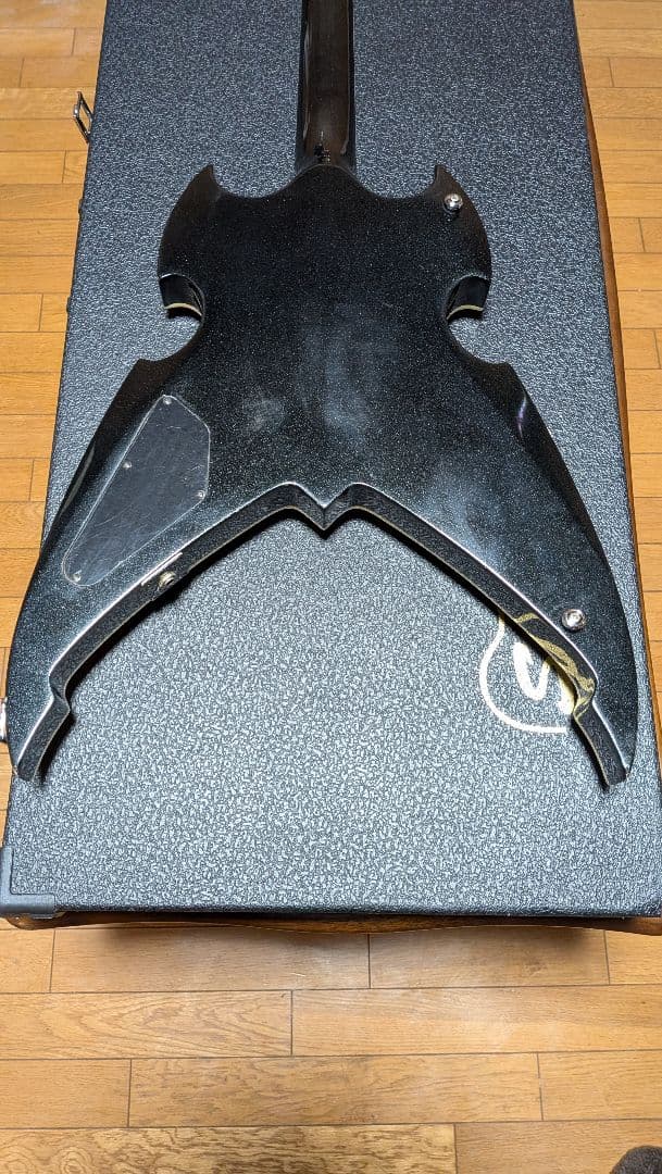 yme1051さま専用　シルバートーン　PS-AP5　ポールスタンレー　KISS