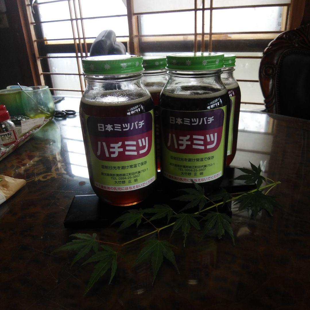 日本ミツバチはちみつらツ