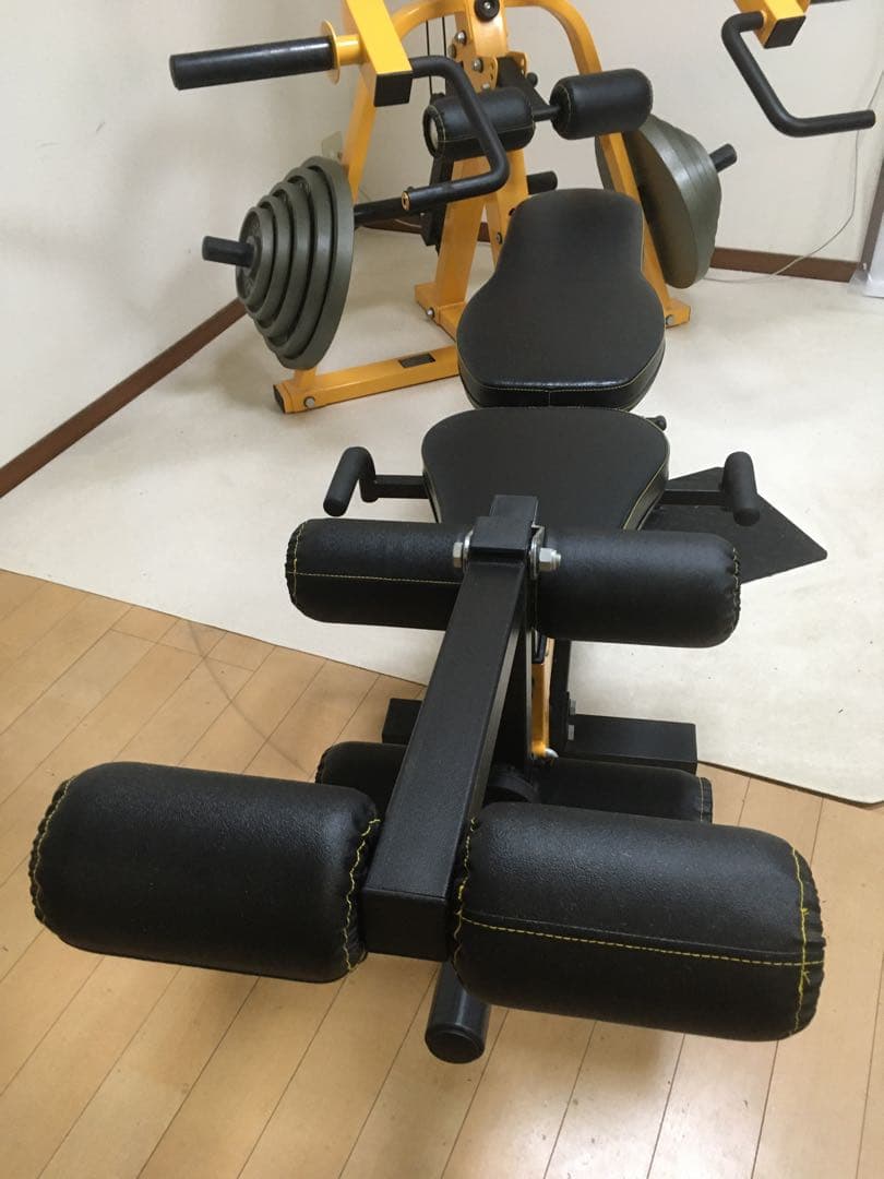 【福岡県内〜近県まで無料配送】パワーテックレバレッジ＋プレート＋オプション