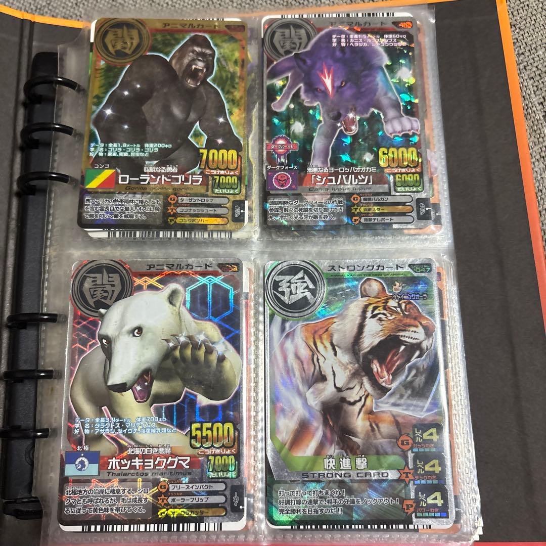 アニマルカイザーデータカードダスセット