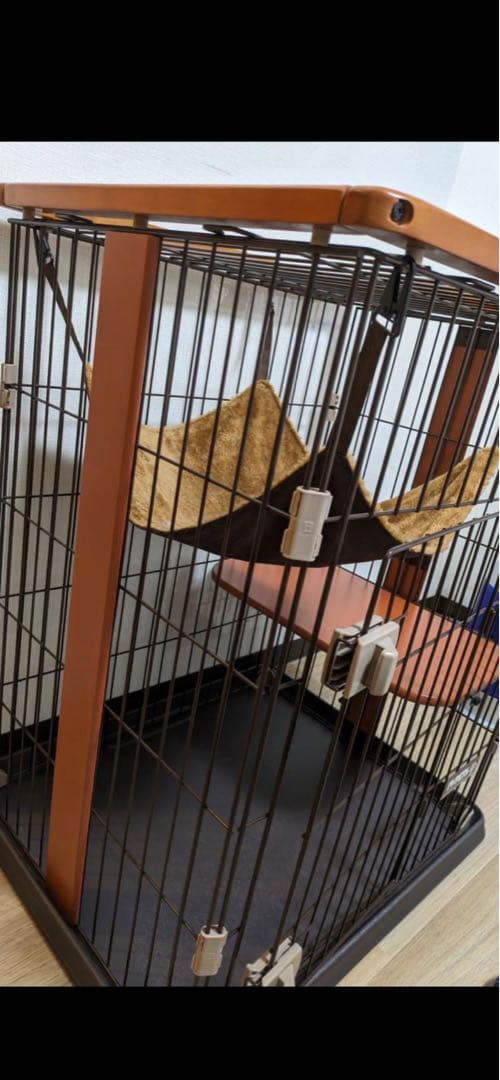 ボンビアルコンウッドワンサークルキャットミニ