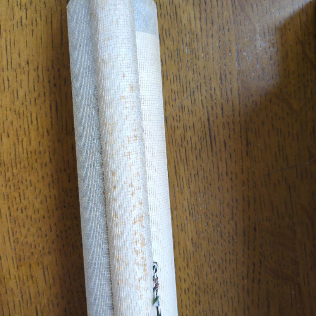 柳谷素霊　実用 鍼灸経穴図解 前後面 掛軸