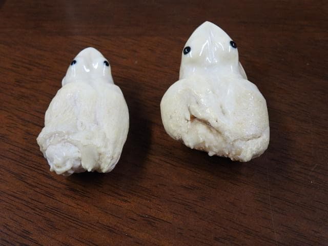 マッコウクジラ歯　カエル彫　M702