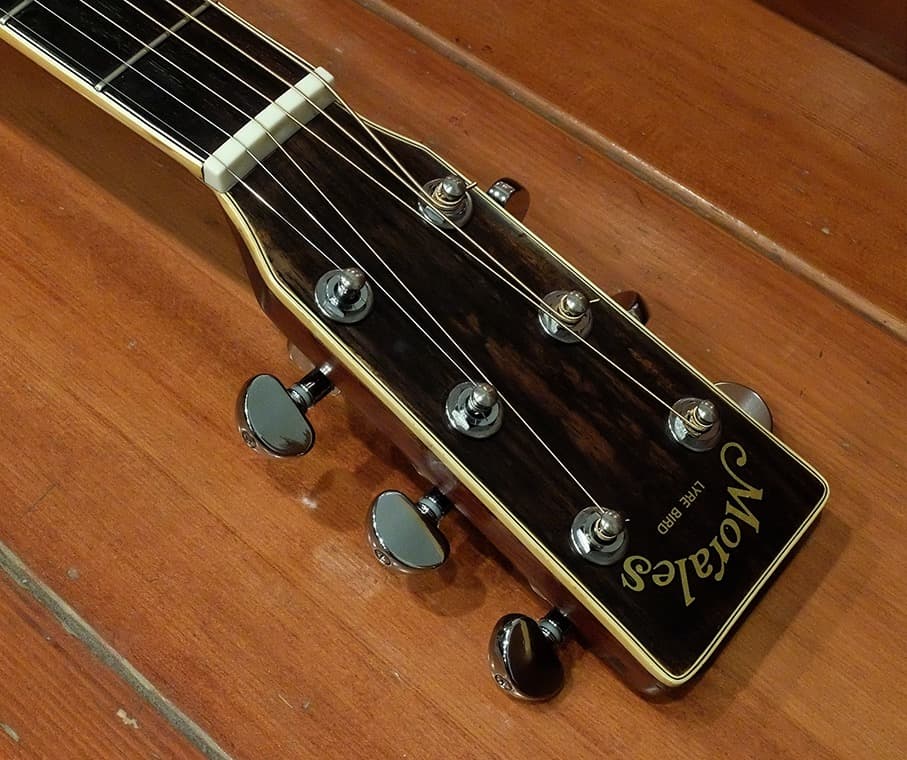 Morales LYRE BIRD M-50 セミハードケース付き