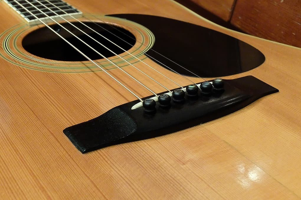 Morales LYRE BIRD M-50 セミハードケース付き