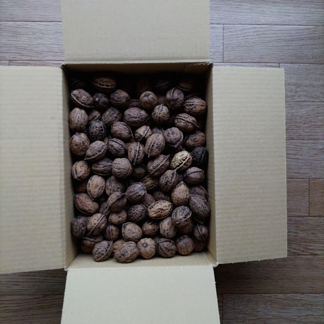 北の達人出品鬼胡桃天然無農薬20キログラム