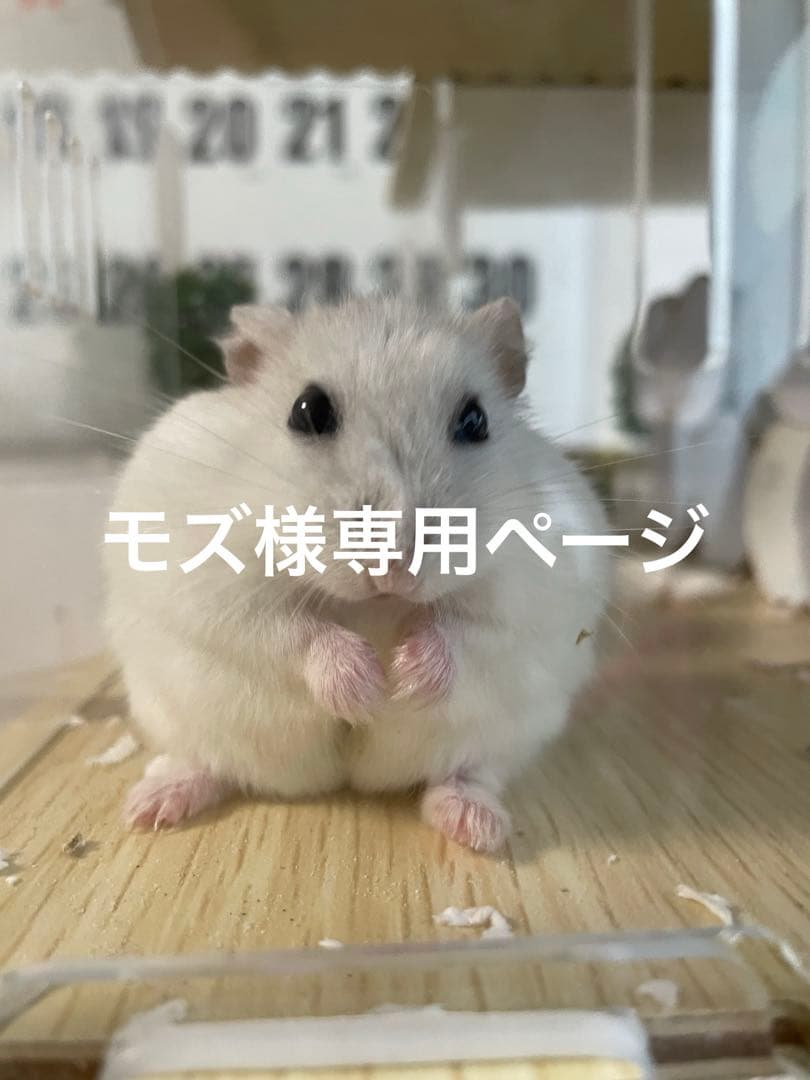 大型ハムスターケージ　17ピースセット×2