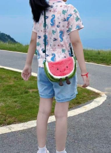  Watermelon Bag すいか スイカ バッグポシェット