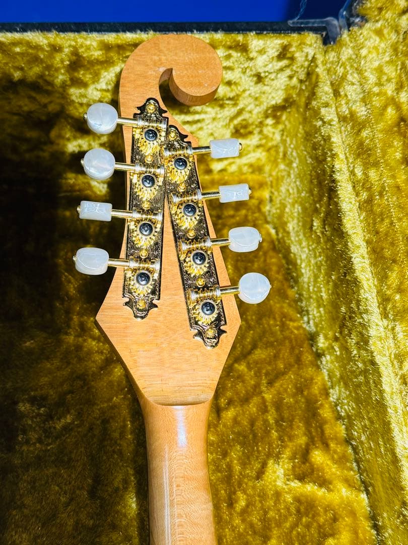 横内の花子 マンドリン