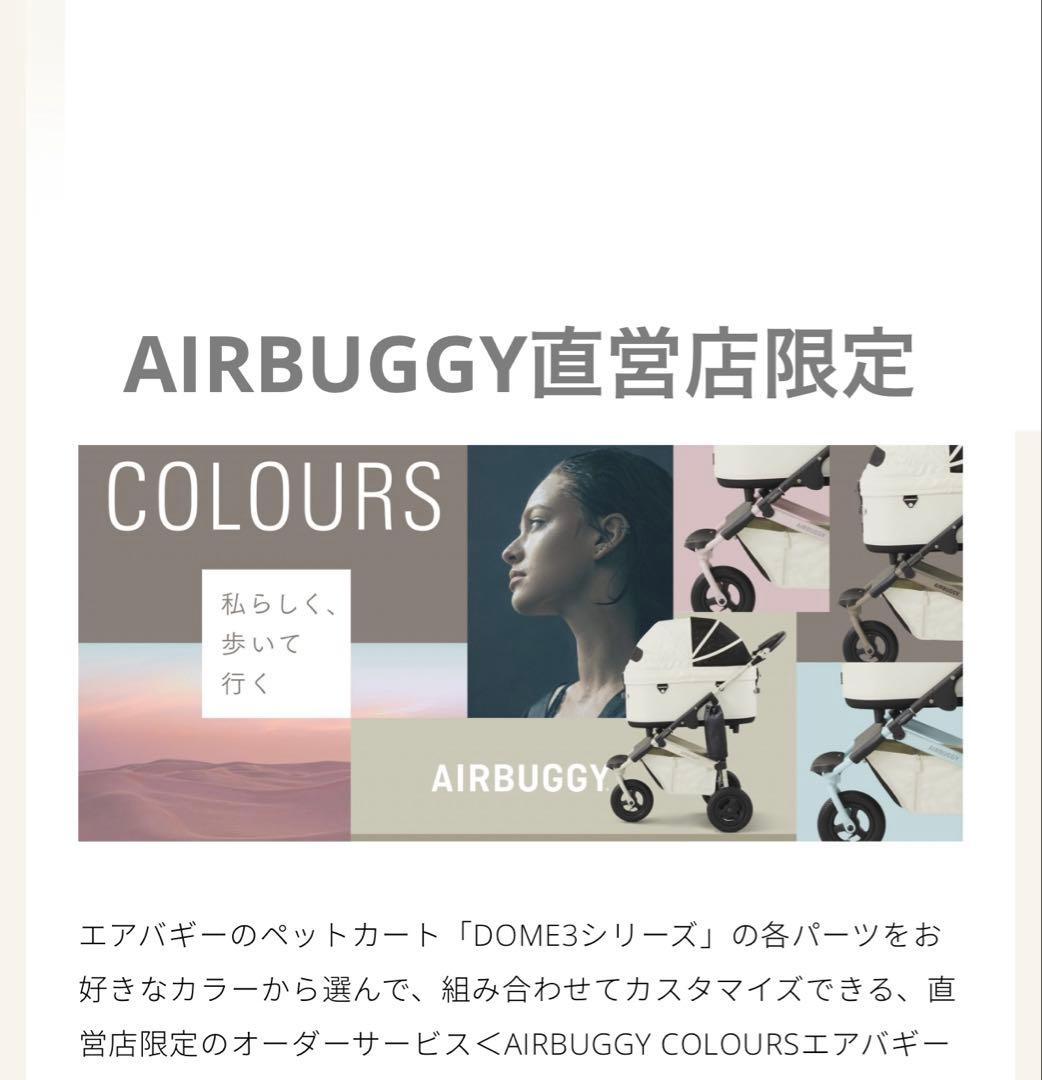 【エアバギー唯一のピンクフレーム】エアバギー 直営店限定パウダーピンク色フレーム