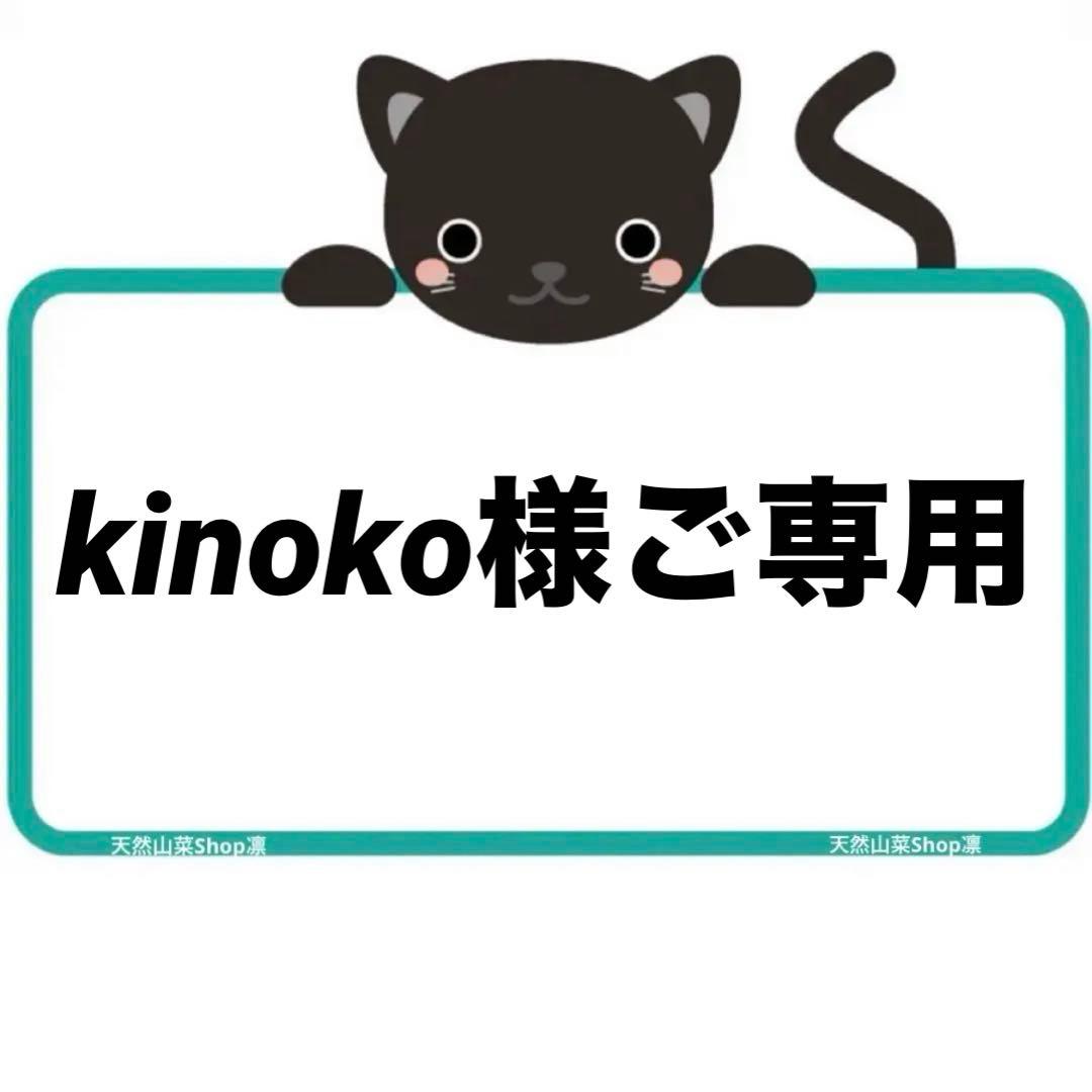天然なめこ 新鮮 山形県産 きのこ 大自然の凛さん採取 その130