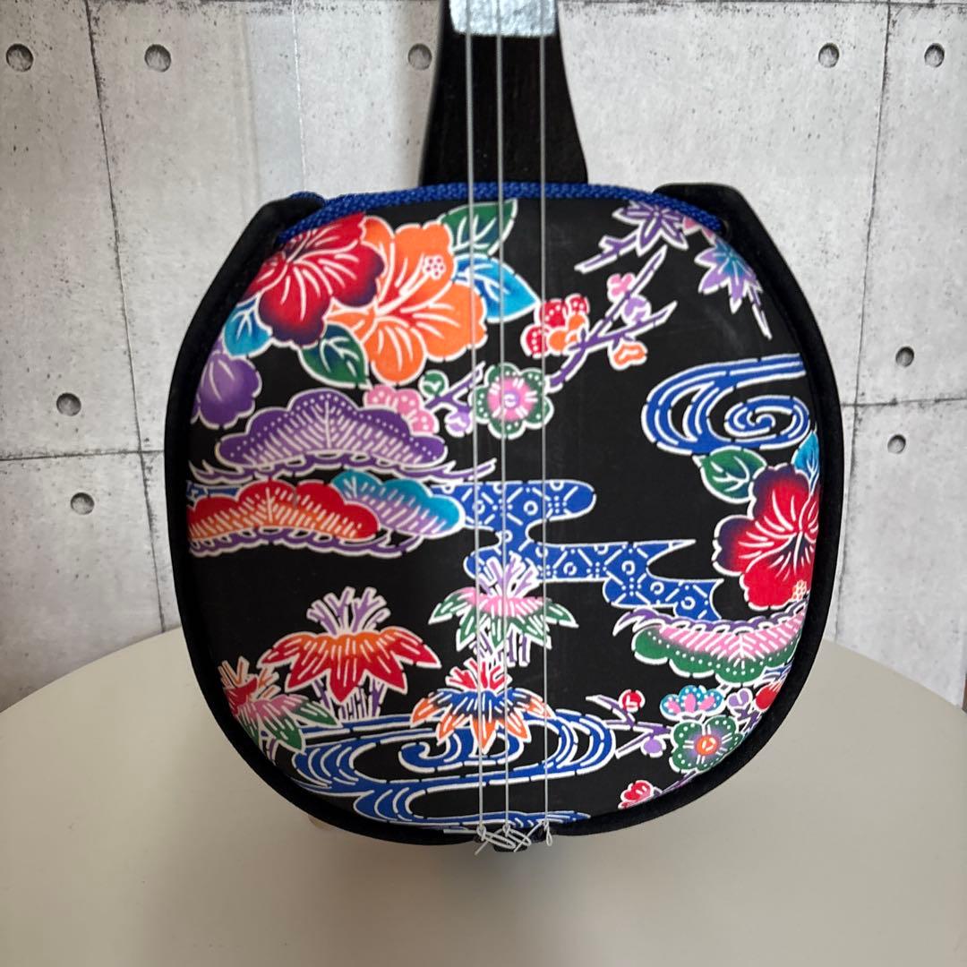 【三線 入門セット】 小物 教則本DVD付き ソフトケース付き