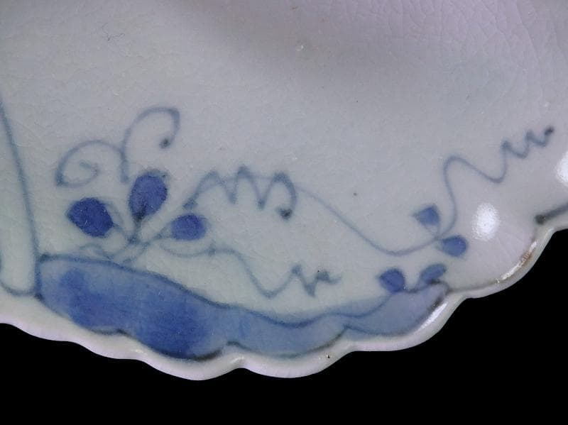古伊万里　染付　草花紋の図　巻貝型変形皿　D852AS-fbpv