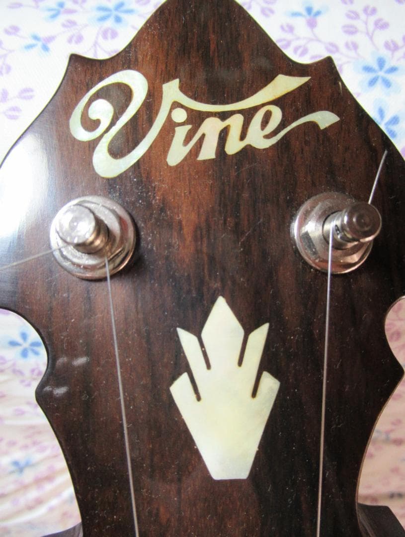 ★☆【大幅値下げしました！！】5弦バンジョー（ケース付き）