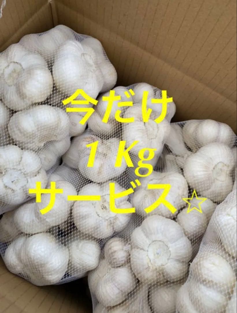 新物　青森県にんにく6キロ Ｌ