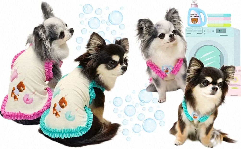 D Laundry Bearフリルタンク＆マット セット　circusサーカス