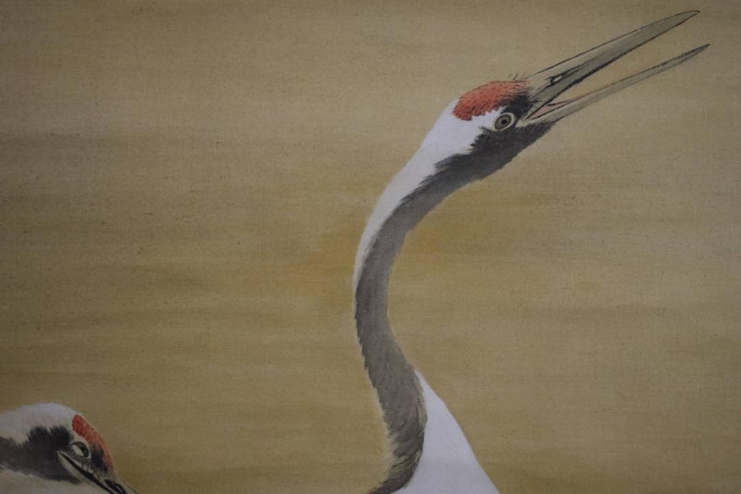 真作/庭山耕園/旭日に鶴図/桐共箱付/布袋屋掛軸HF-786