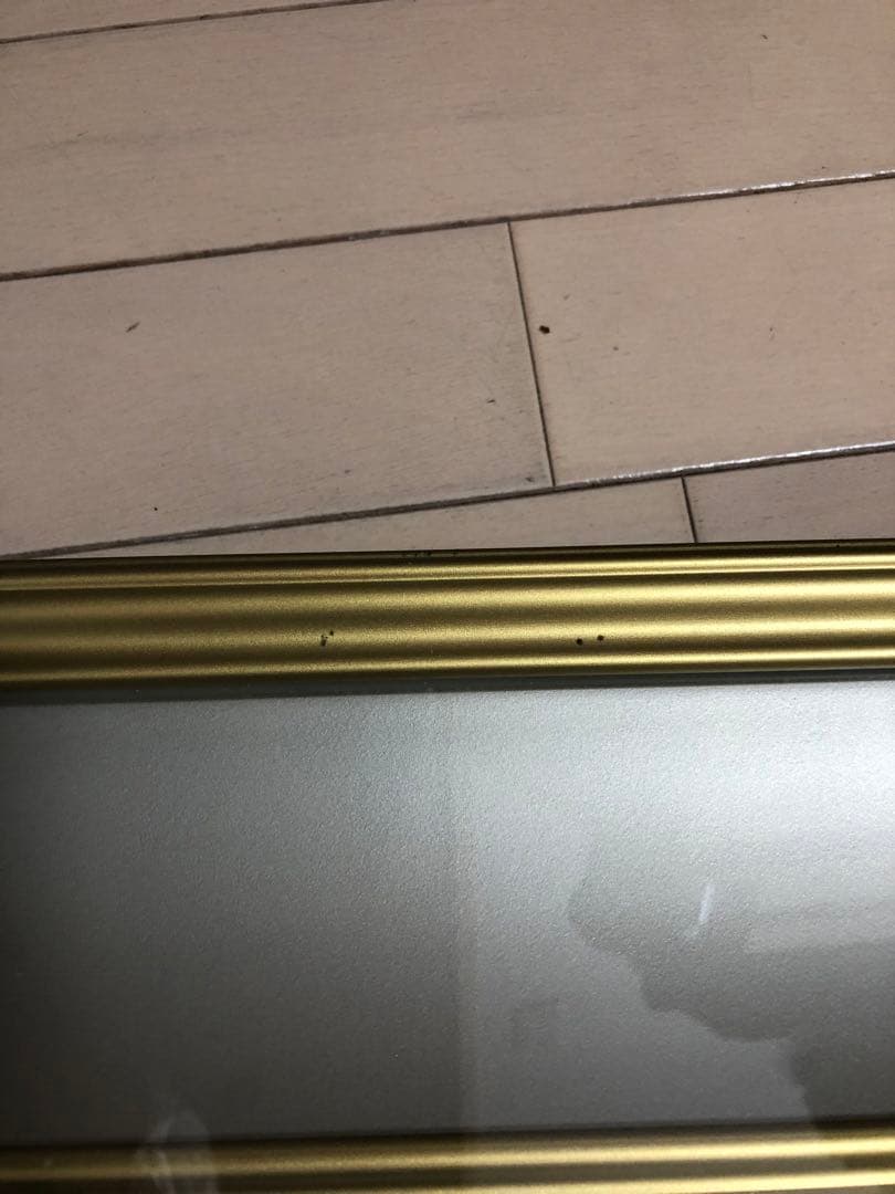 日本画家森田りえ子大型！版画柊野五色椿Japanシルクスクリーン限定直筆サイン