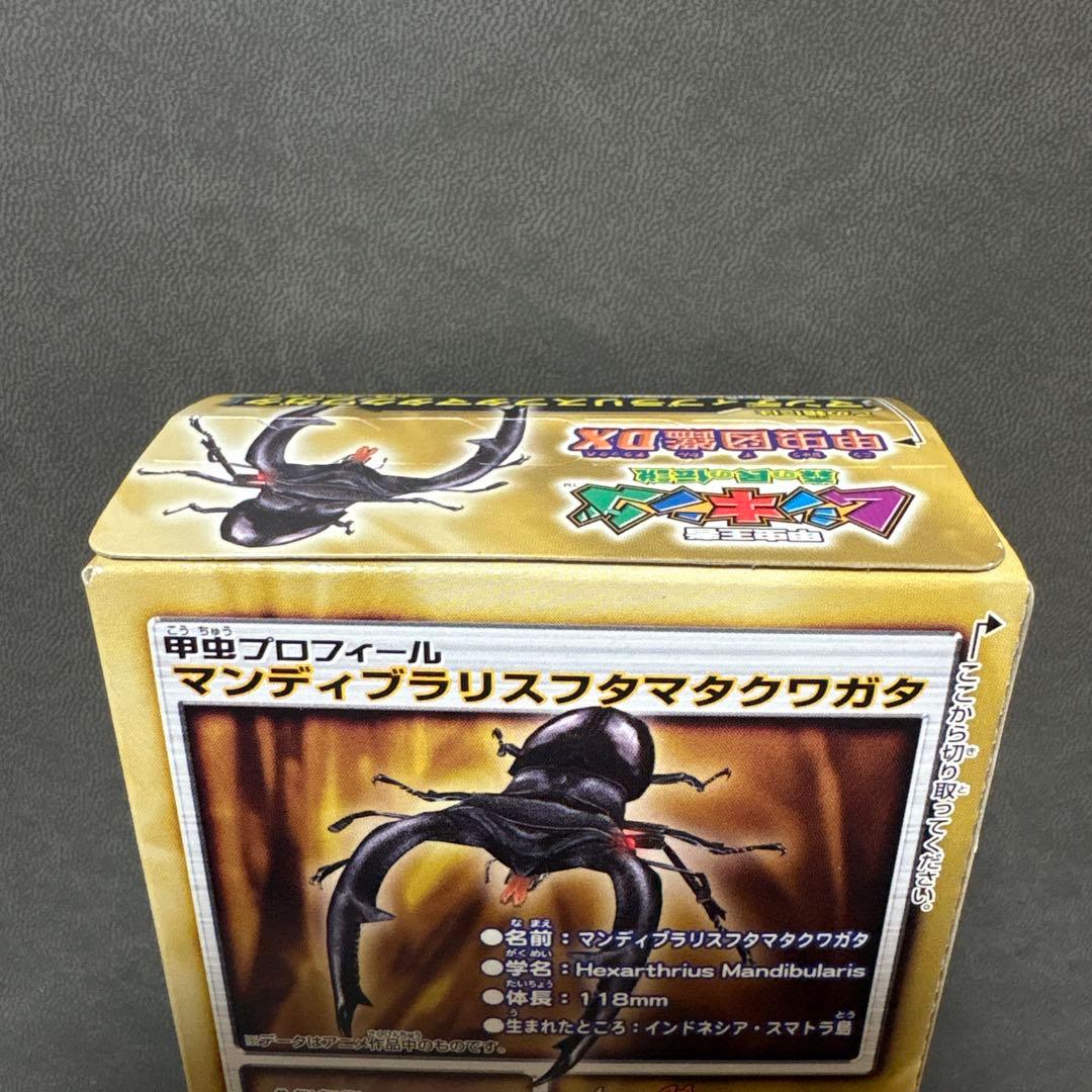 ムシキング マンディブラリスフタマタクワガタ 甲虫図鑑 DX レトロ 激レア