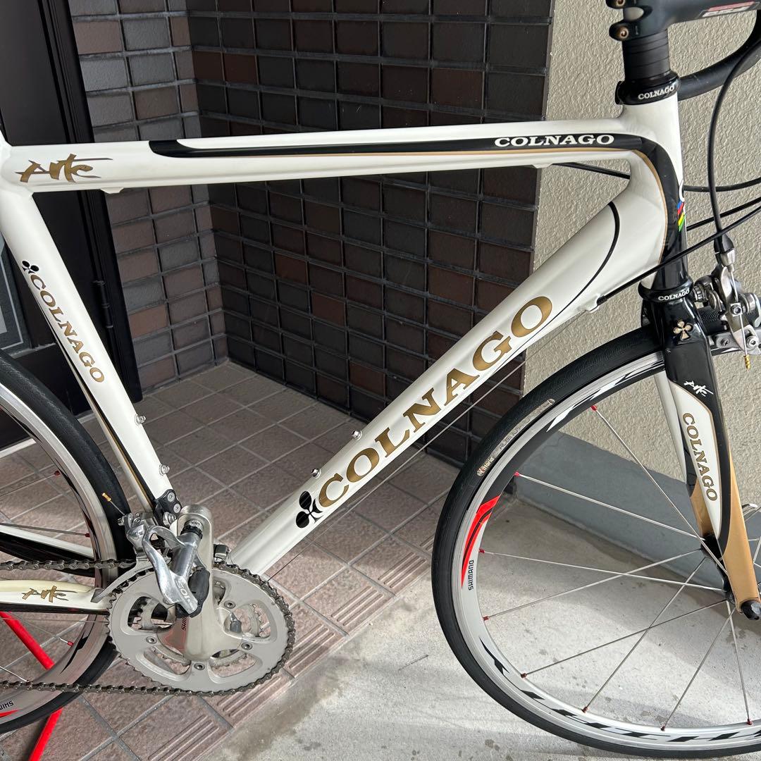 COLNAGO Alte 105 mix 55サイズ 倉庫スッキリSALE