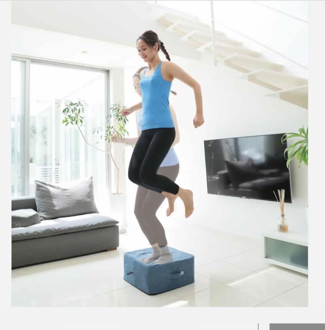 超美品！ジムテリア　シェープキューブ