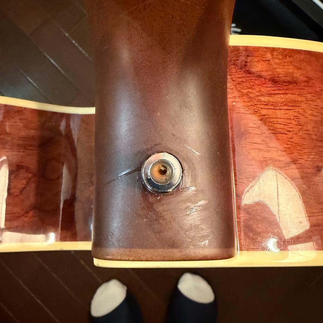 WARWICK WAC1574 エレアコベース