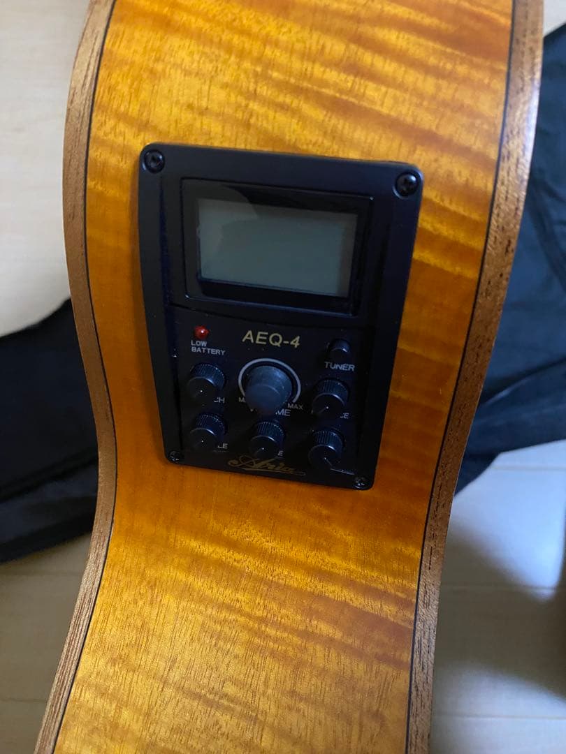 ARIA アリア FET-F2 STBR エレアコ