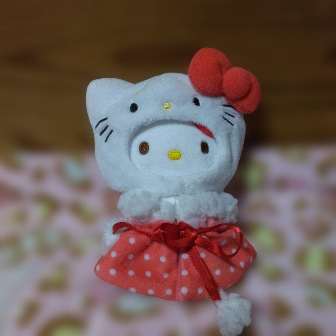 超激レア‼️希少‼️プレミア‼️着せ替えキティ‼️可愛い着ぐるみです