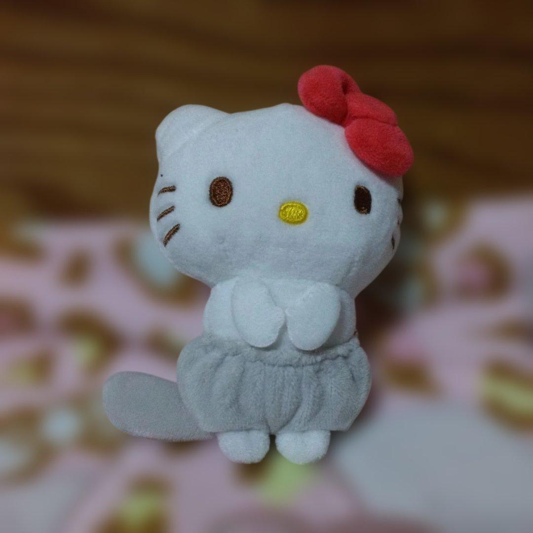 超激レア‼️希少‼️プレミア‼️着せ替えキティ‼️可愛い着ぐるみです