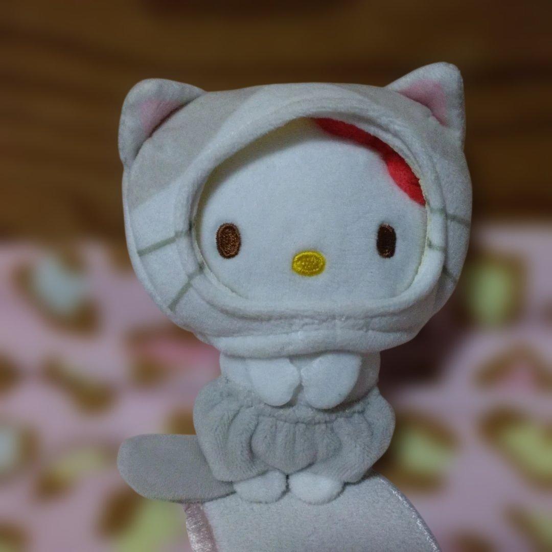 超激レア‼️希少‼️プレミア‼️着せ替えキティ‼️可愛い着ぐるみです