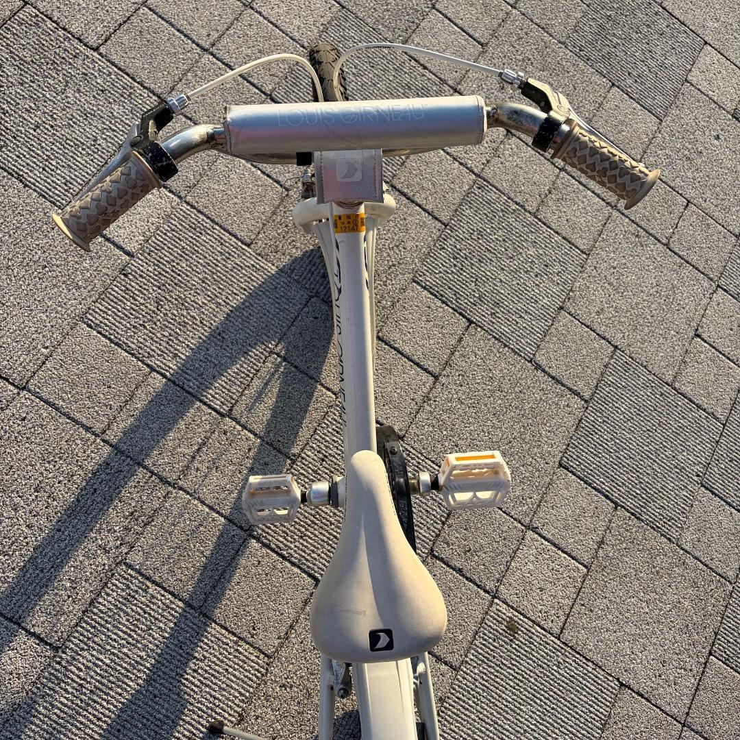 ルイガノ LGS-K20-J 20インチ (手渡し限定・東京都江東区)