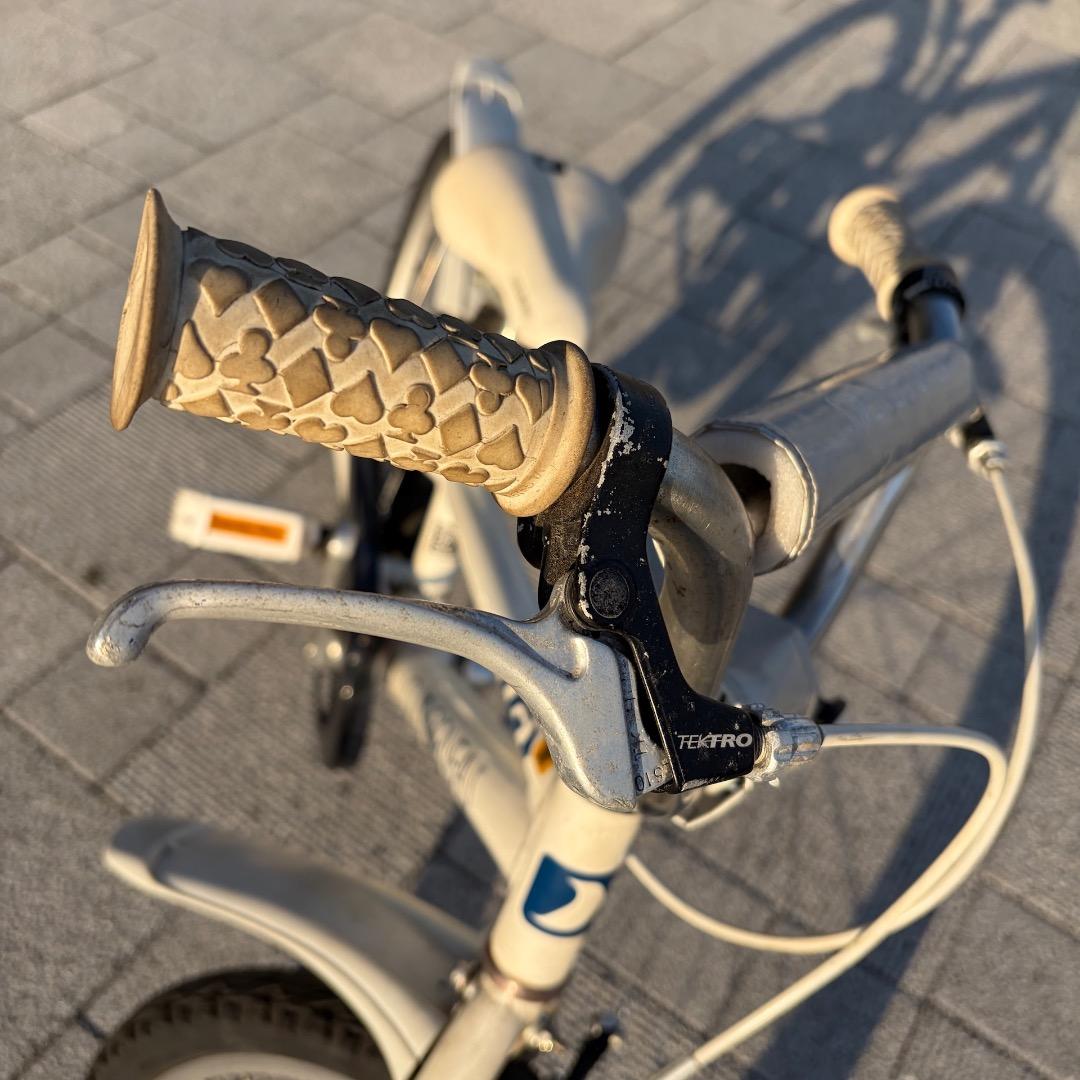 ルイガノ LGS-K20-J 20インチ (手渡し限定・東京都江東区)