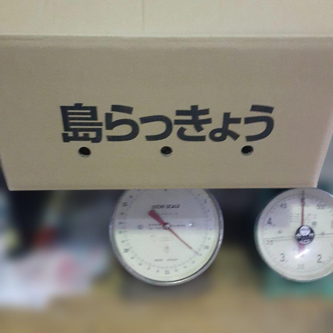 伊江島産♪島らっきょう10㎏