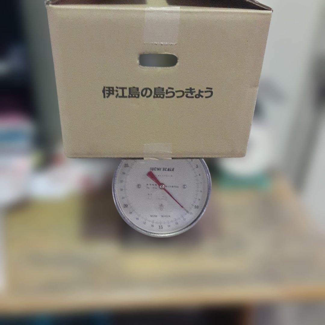 伊江島産♪島らっきょう10㎏